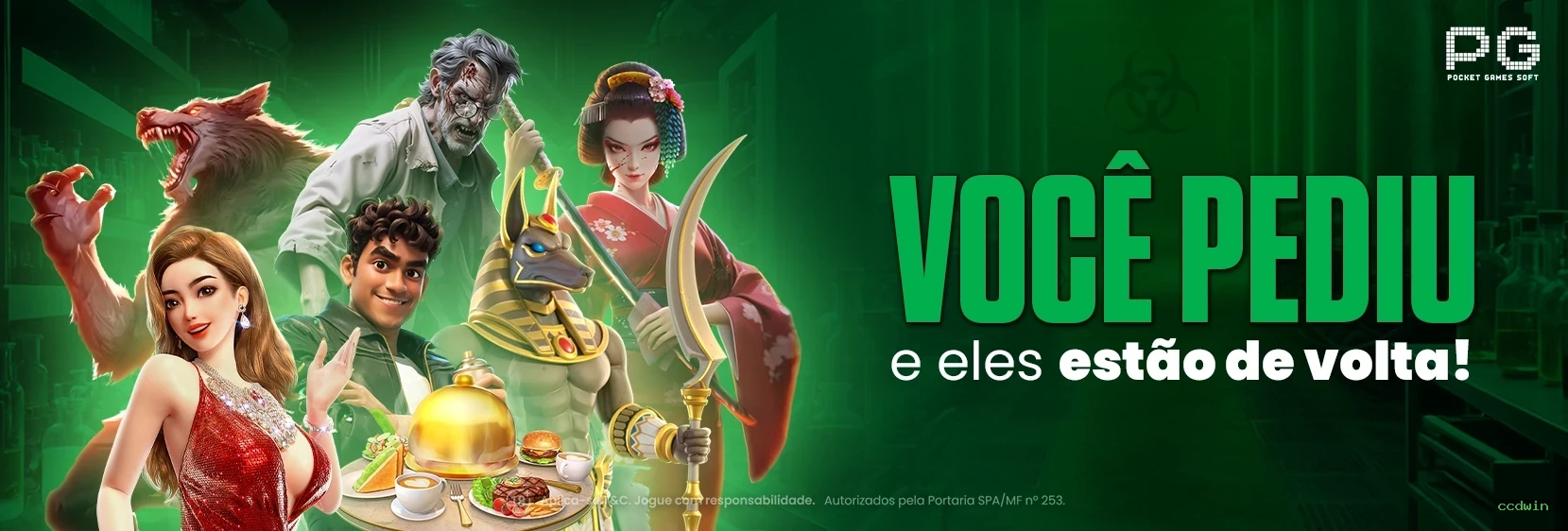 Métodos de pagamento aceitos na ccdwin